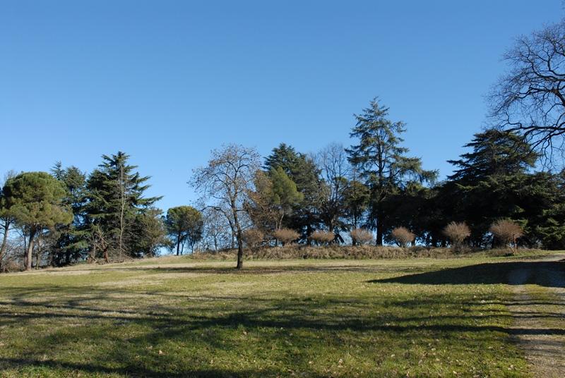 Tenuta con villa padronale 4