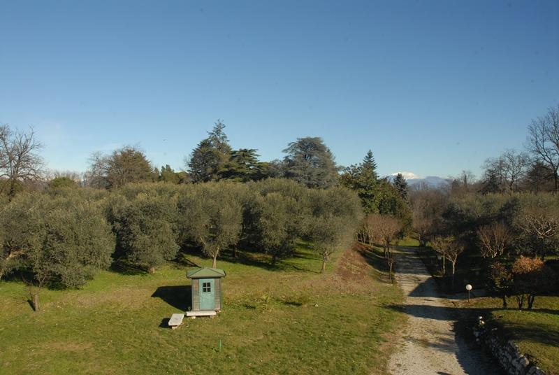Tenuta con villa padronale 6