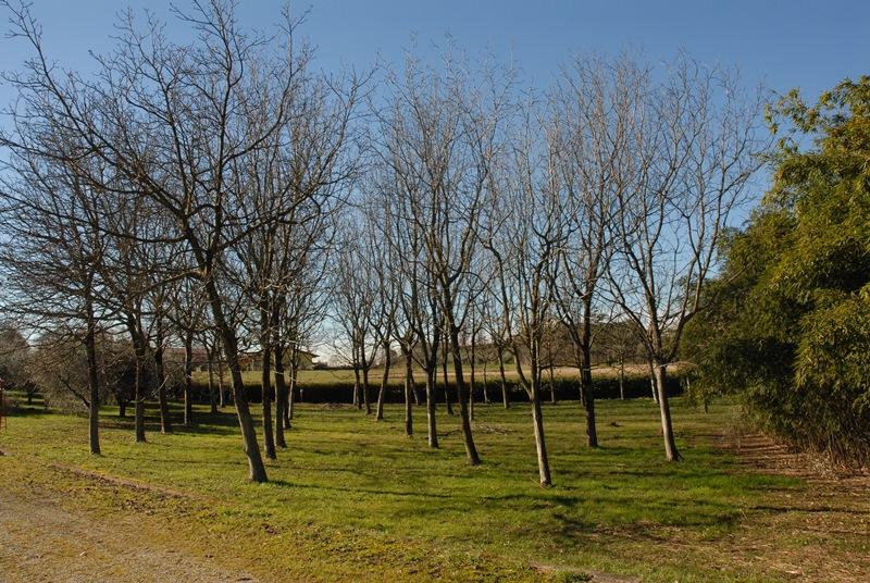 Tenuta con villa padronale 7