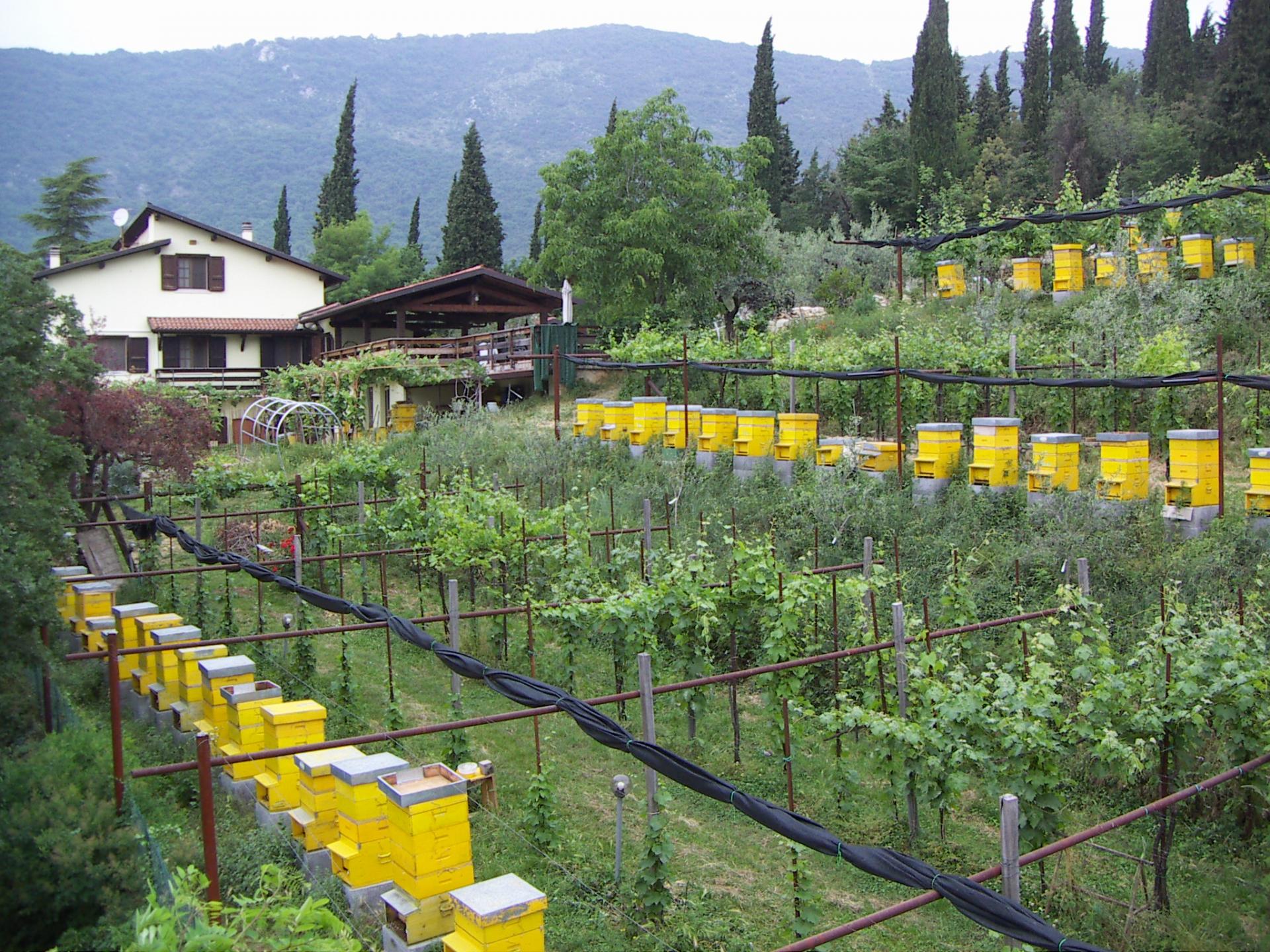Nuda Proprietà - Botticino Mattina 3